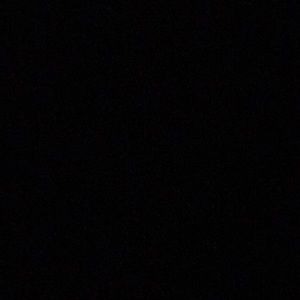 Meet your Posher, Coco